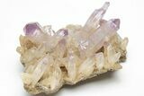 Amethyst Crystal Cluster - Las Vigas, Mexico #204640-1